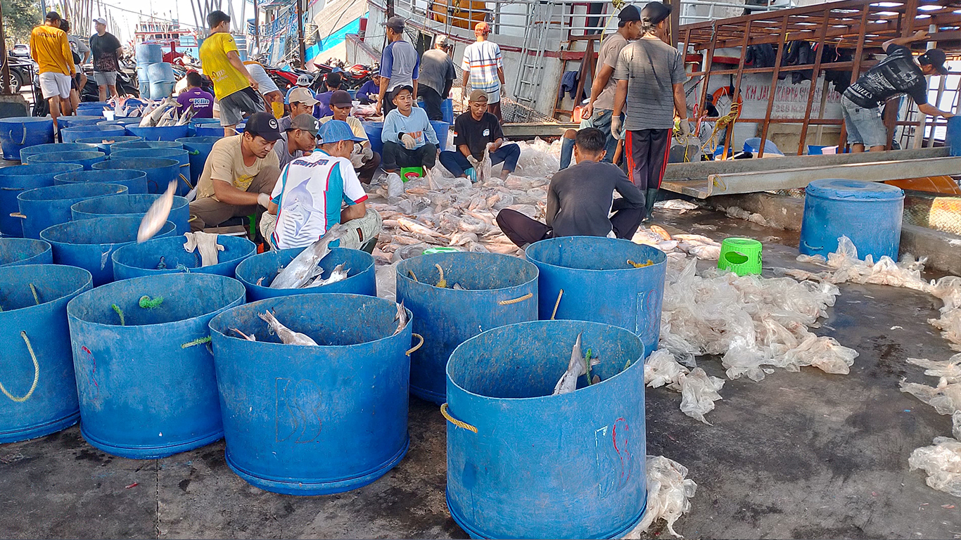 Aktivitas Bongkar Muat di Pelabuhan Mayangan Probolinggo EPOCHSTREAM