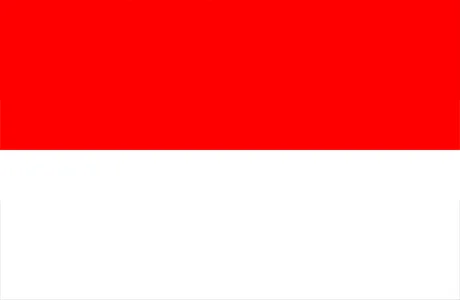 Flag - Indonesia - AFC Asian Qualifiers™