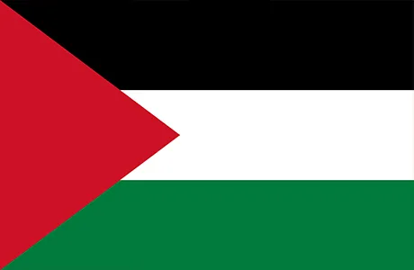 Flag - Palestina - AFC Asian Qualifiers™