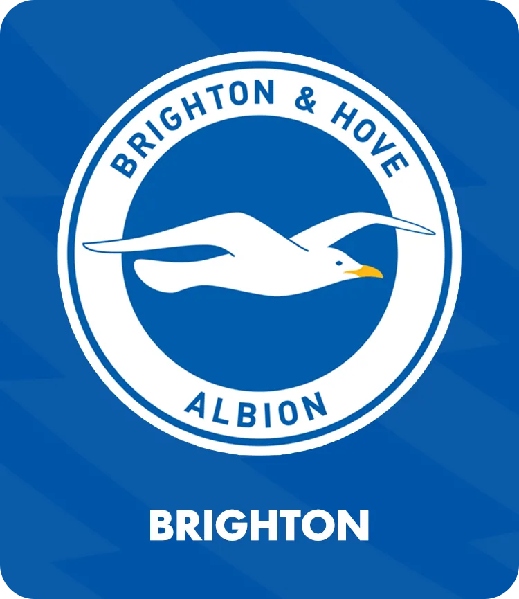 LOGO BRIGHTON - PREMIER LEAGUE - EPOCHSTREAM