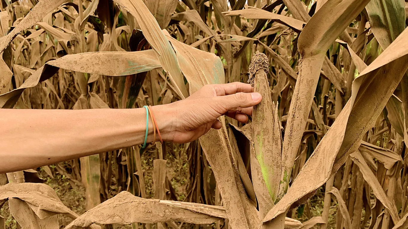 (5) Nestapa di Balik Gemerlap PLTU Paiton - Abdul Haq - Epochstream