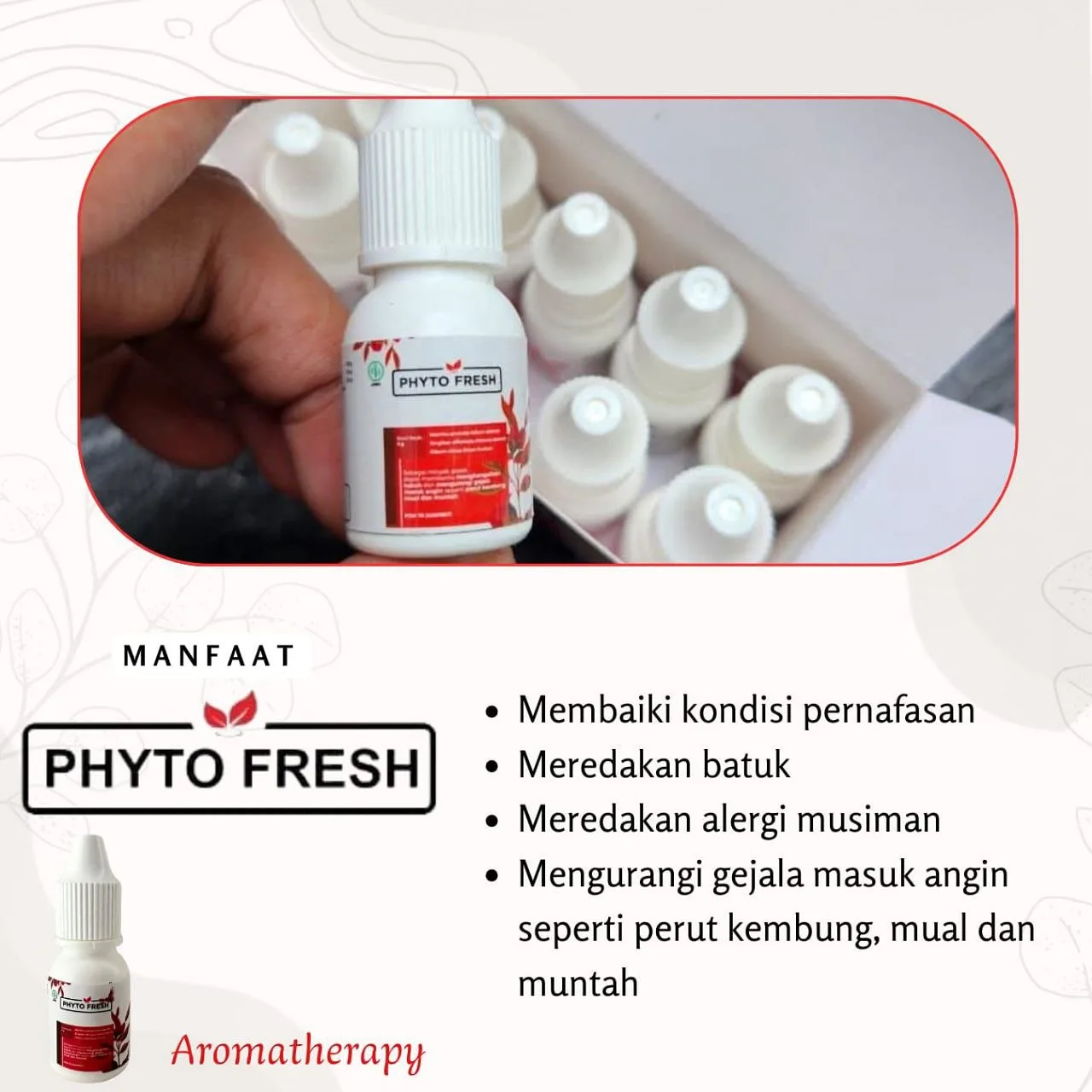 Rahasia Sehat Sekaligus Banjir Bonus dari Phyto Fresh (2)