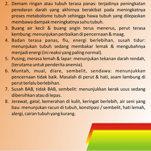 Susu Kambing Ettawa Gluetta 06 - KILADS by EPOCHSTREAM